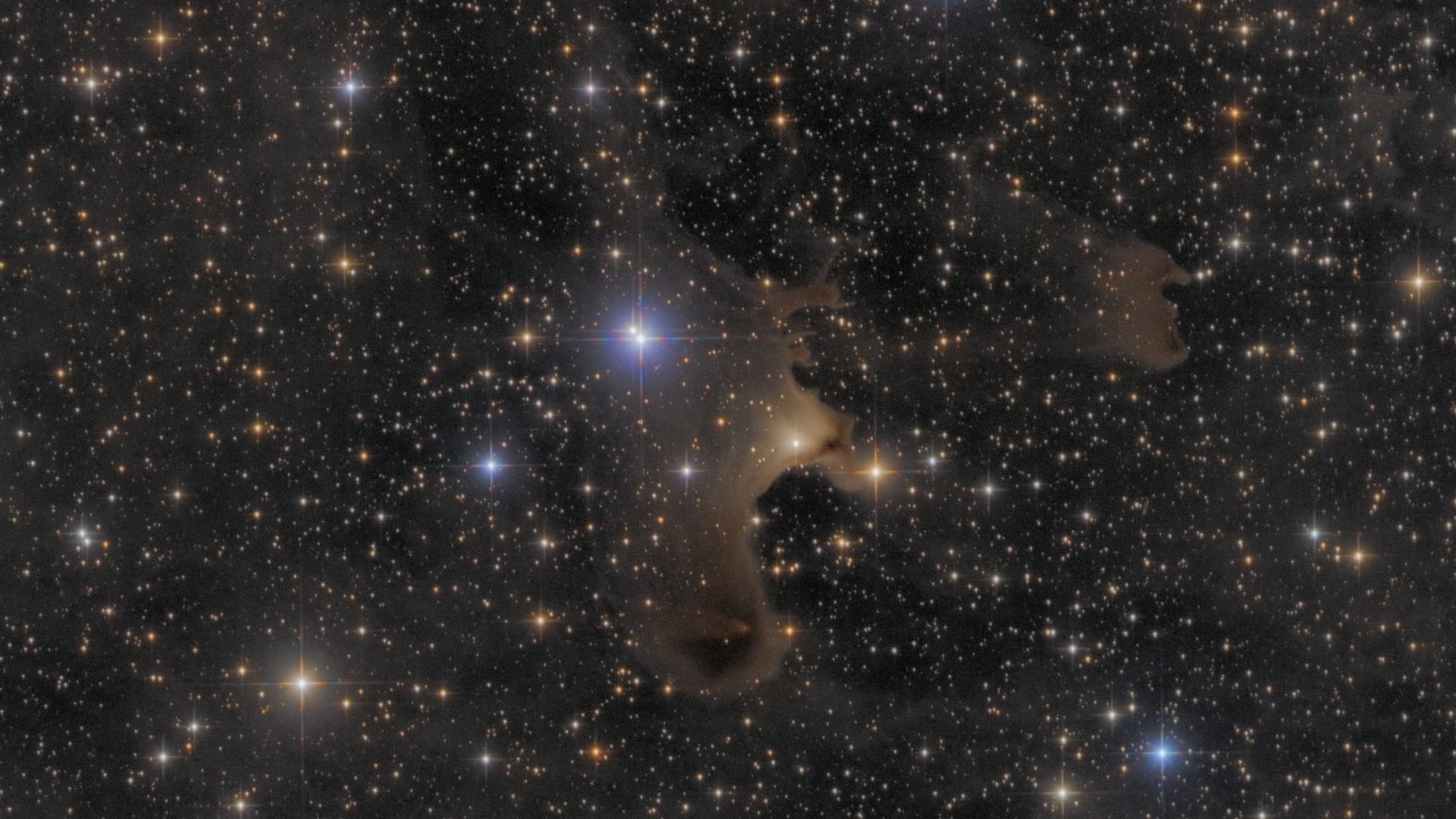 vdB 141 Spektrum der Wissenschaft